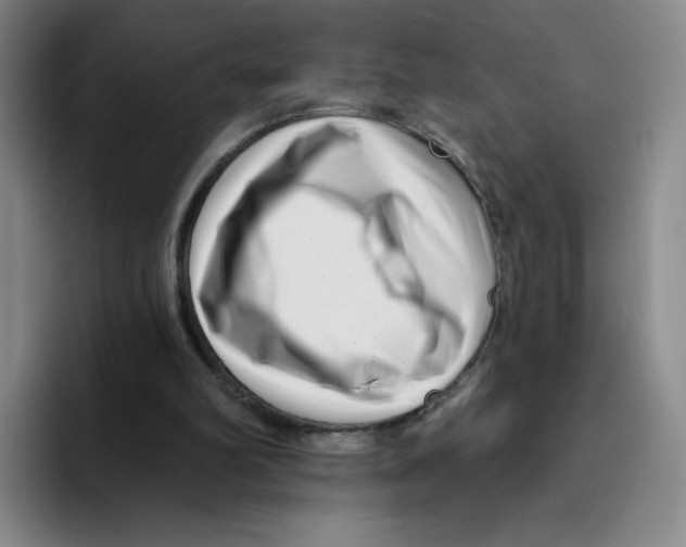 X0000096170102200802151443