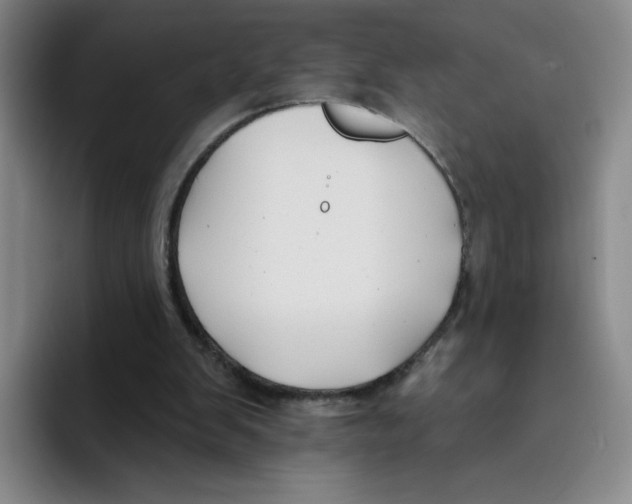 X0000096170103200802151443