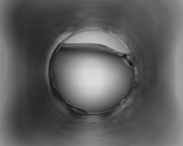 X0000096170104200802151443