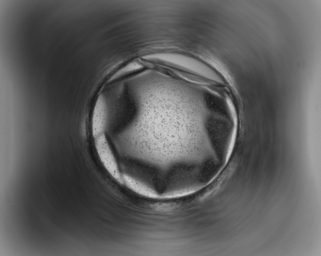 X0000096170105200802151443