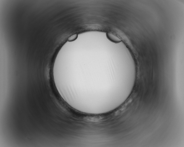 X0000096170106200802151443