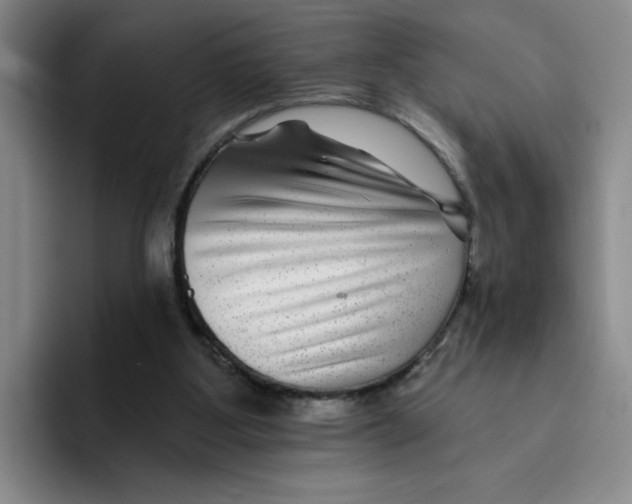X0000096170107200802151443