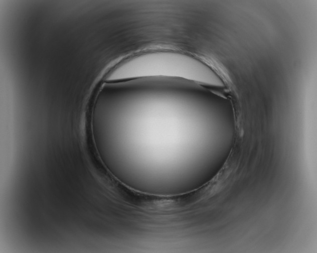 X0000096170108200802151443