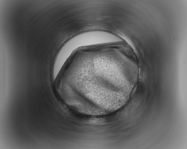 X0000096170109200802151443