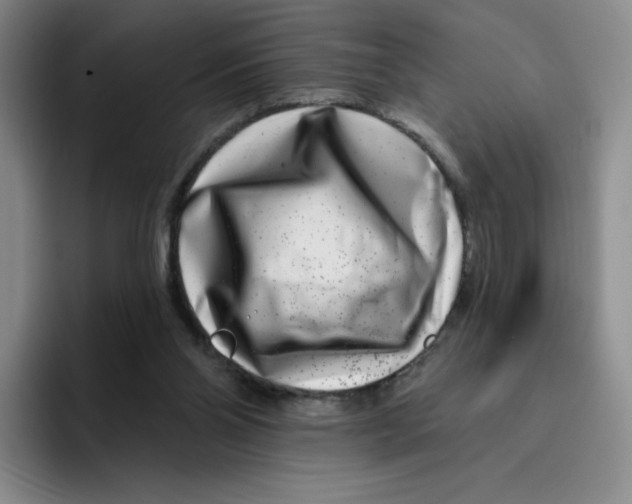 X0000096170110200802151442