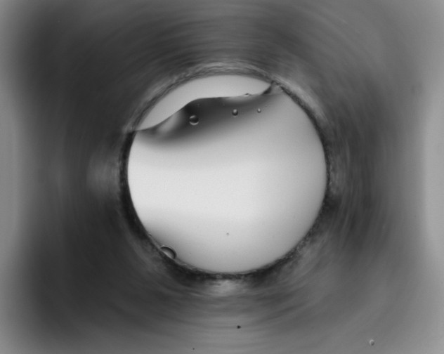 X0000096170111200802151442