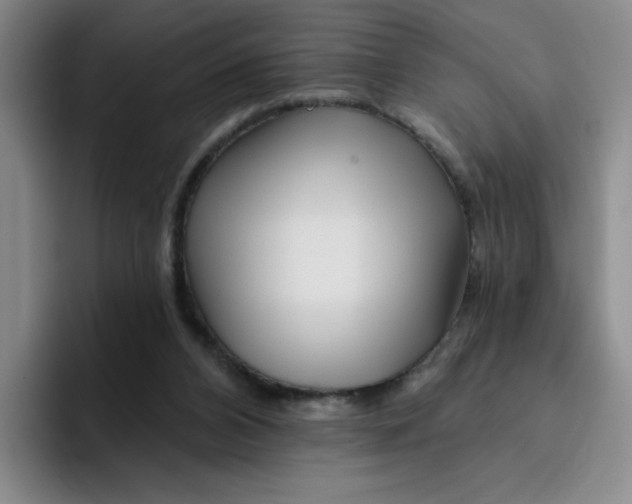 X0000096170112200802151442