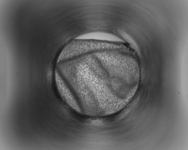 X0000096170113200802151442