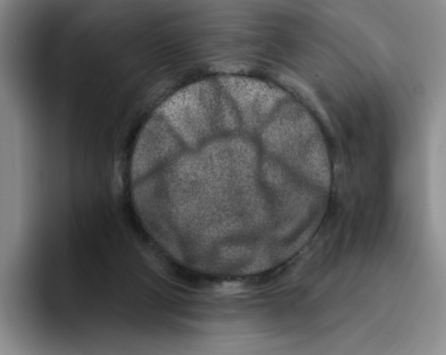 X0000096170114200802151442