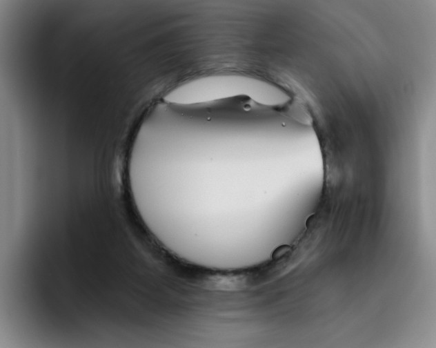 X0000096170115200802151442
