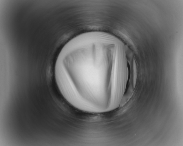 X0000096170116200802151442