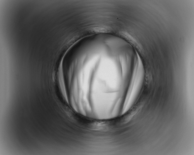 X0000096170117200802151442