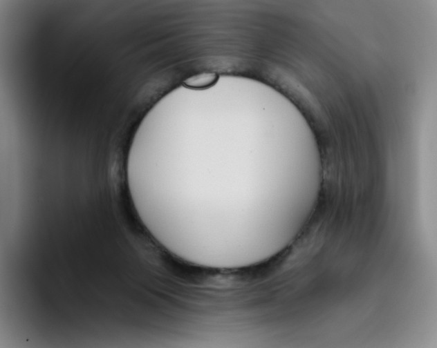 X0000096170119200802151442
