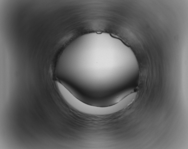 X0000096170120200802151442