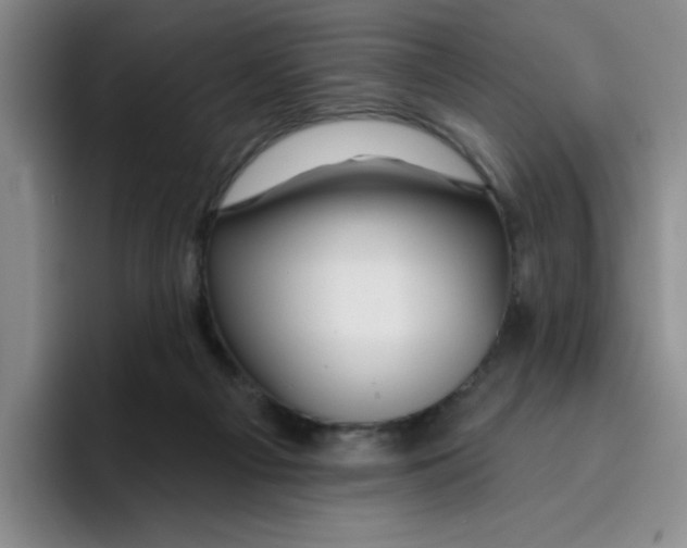 X0000096170121200802151442