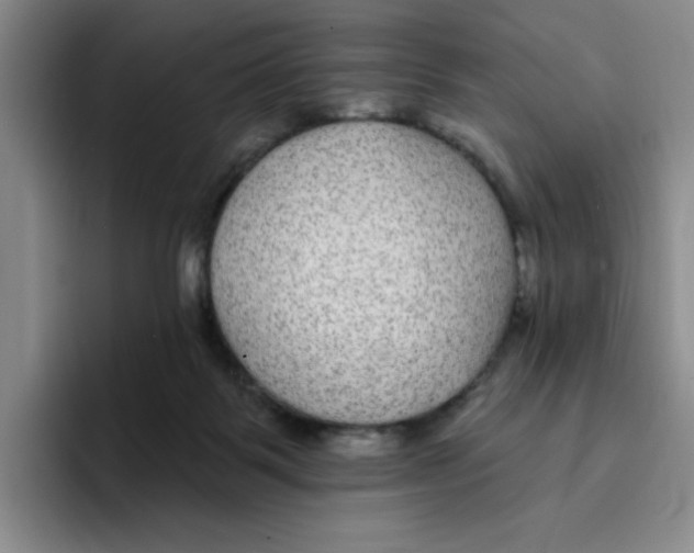 X0000096170123200802151442