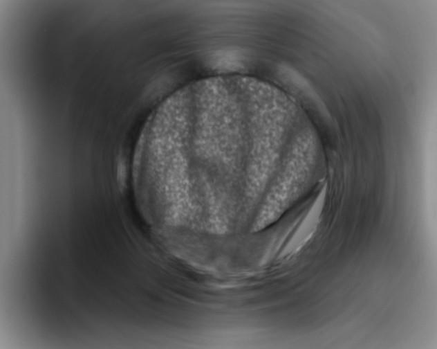 X0000096170124200802151442