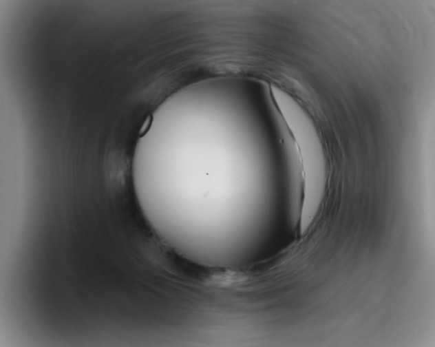 X0000096170125200802151442