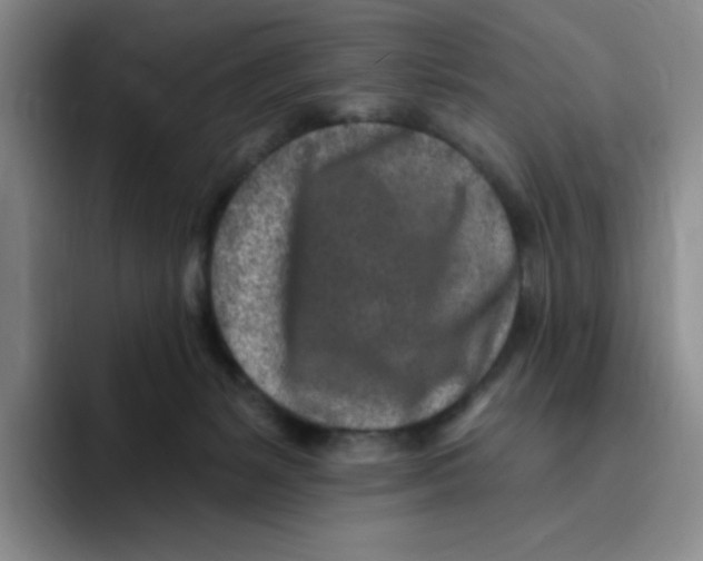 X0000096170127200802151442
