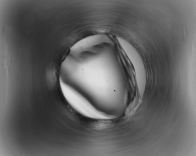 X0000096170128200802151442