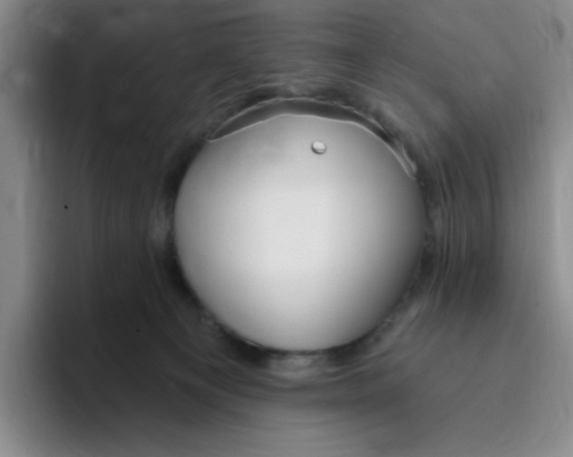 X0000096170129200802151442