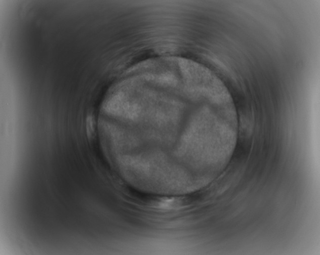 X0000096170130200802151442