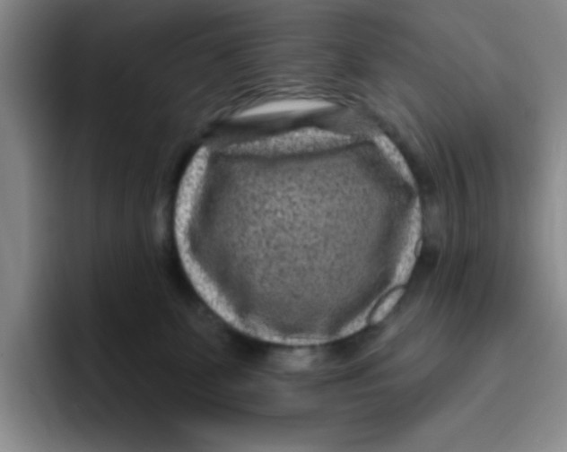 X0000096170131200802151442
