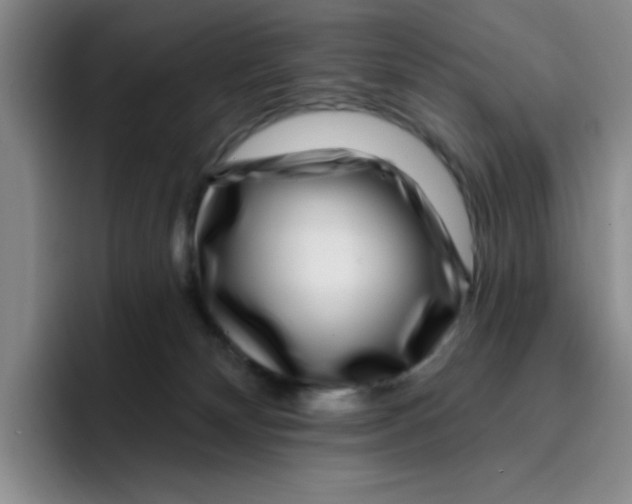 X0000096170132200802151442