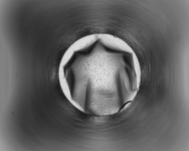 X0000096170134200802151442