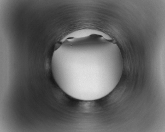 X0000096170135200802151442