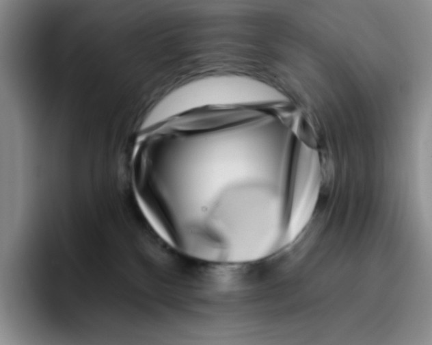 X0000096170136200802151442