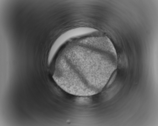 X0000096170137200802151442