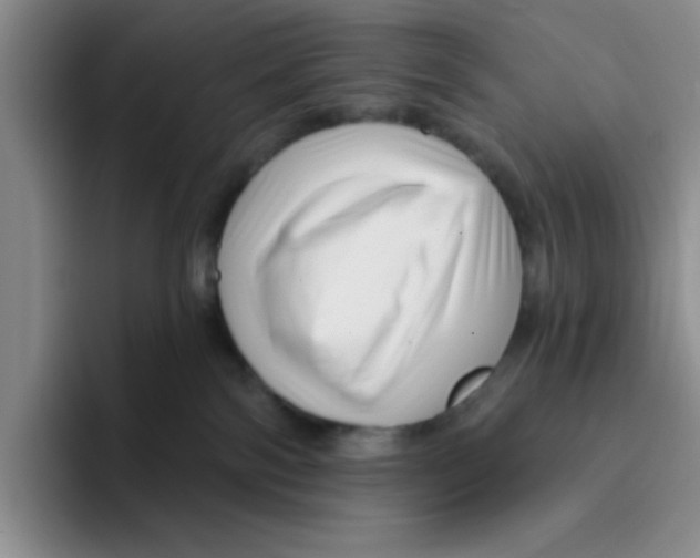 X0000096170138200802151442