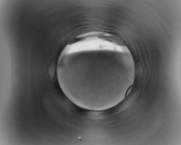 X0000096170139200802151442