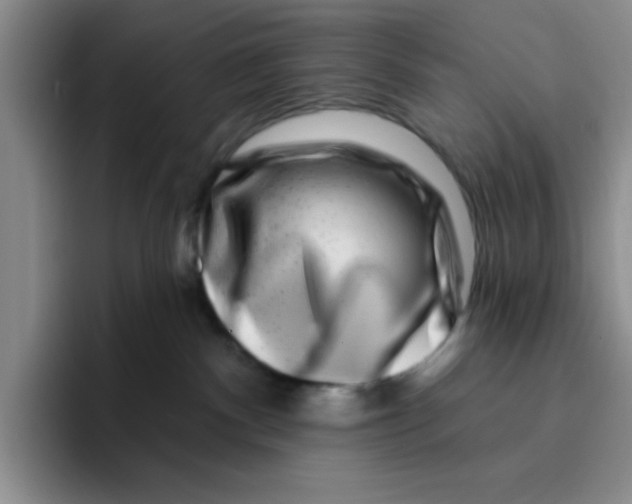 X0000096170140200802151442