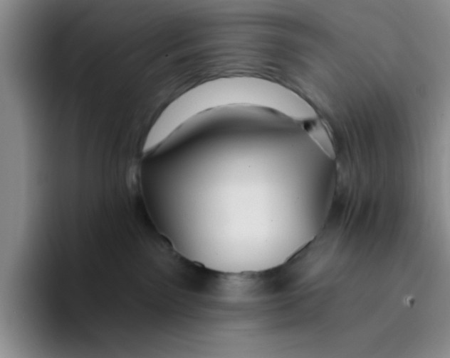 X0000096170141200802151442