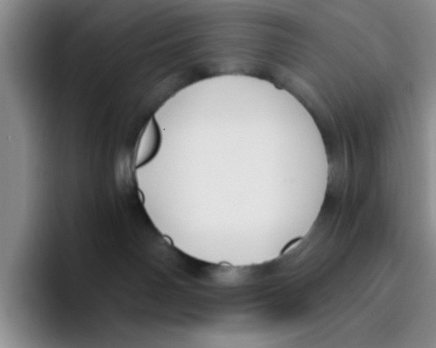 X0000096170142200802151442