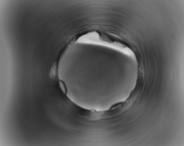 X0000096170143200802151442
