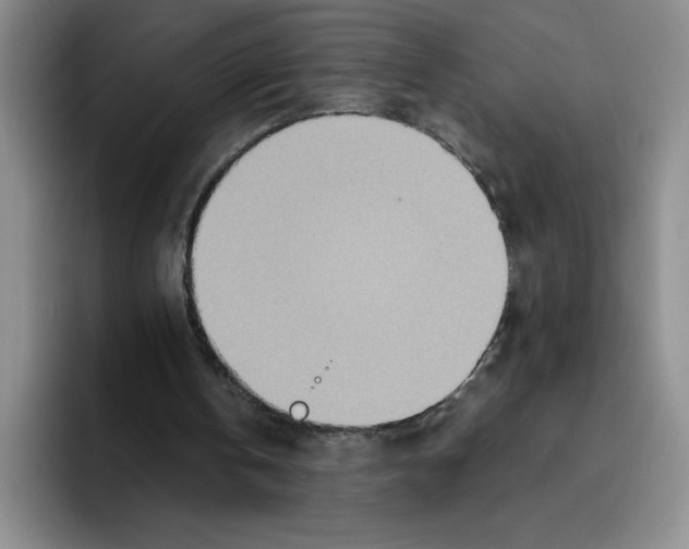 X0000096170146200802151441