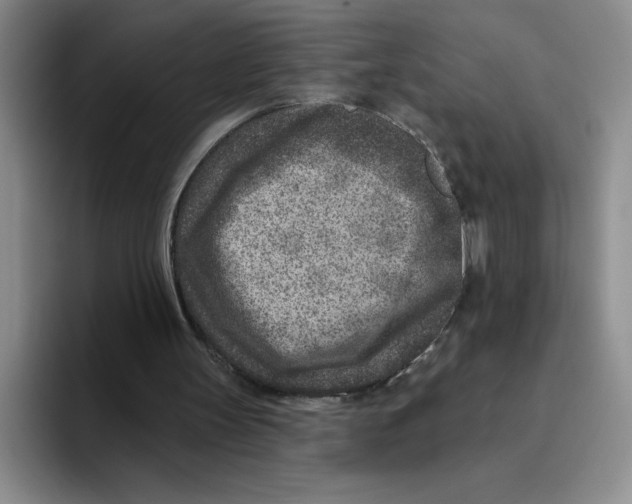 X0000096170147200802151441