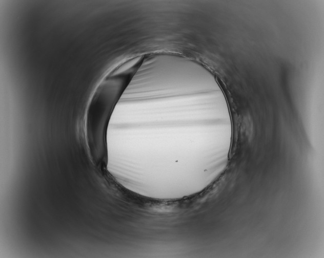 X0000096170148200802151441