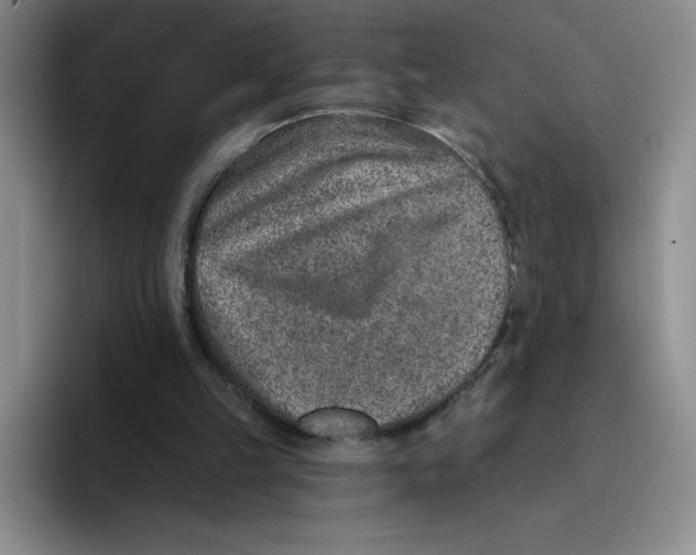 X0000096170149200802151441