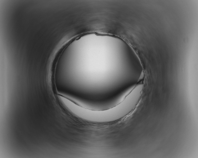 X0000096170150200802151441