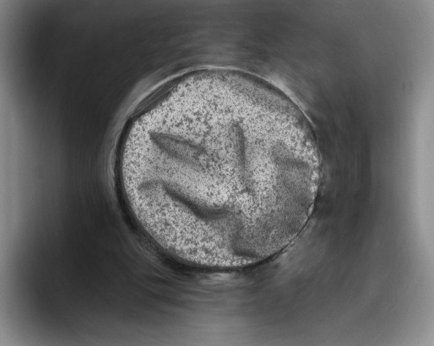 X0000096170151200802151442
