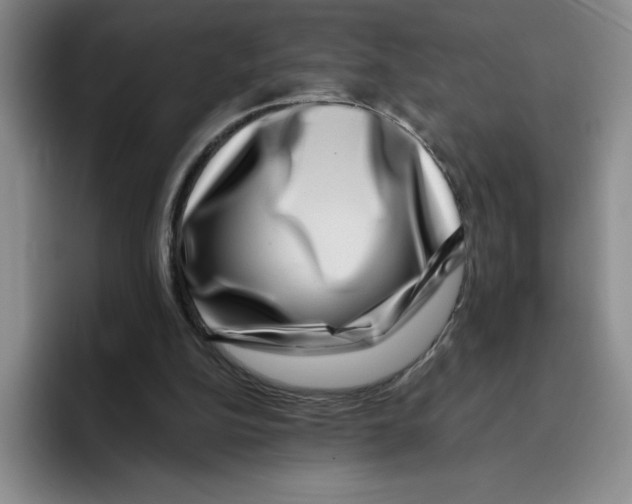 X0000096170152200802151442