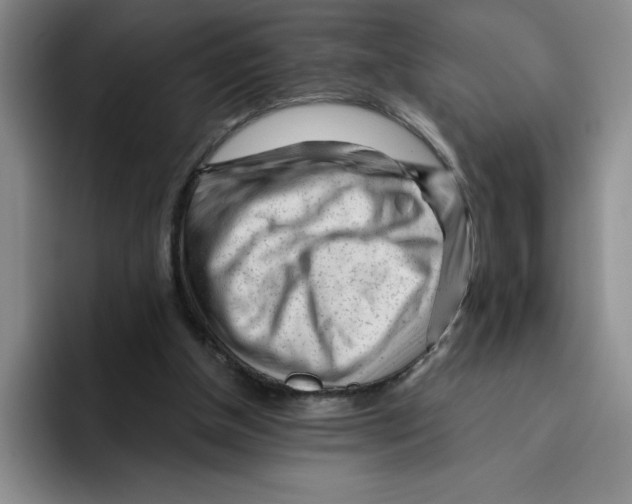X0000096170154200802151442