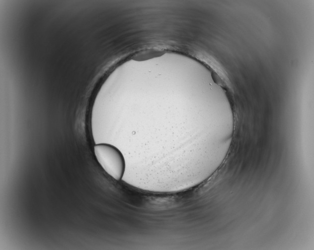 X0000096170155200802151442