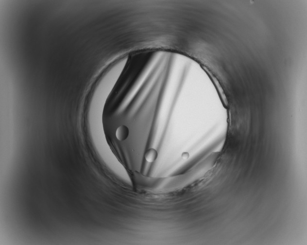 X0000096170156200802151442
