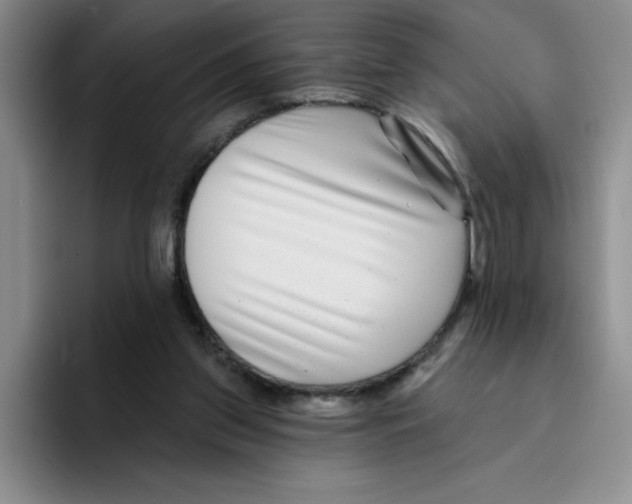 X0000096170157200802151442