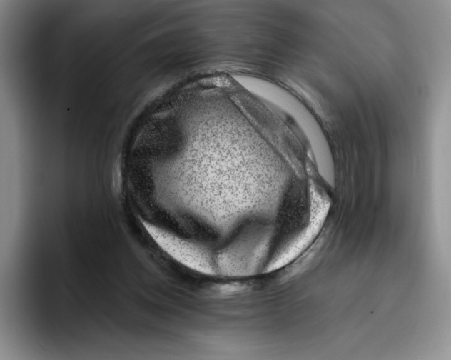 X0000096170158200802151442